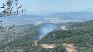Milastaki orman yangını büyümeden söndürüldü