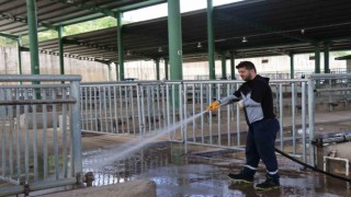 Modern Hayvan Pazarı Kurban Bayramına hazırlanıyor