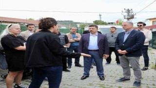 Mudanyada sokak hayvanları için rehabilitasyon merkezi kuruluyor