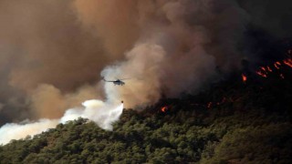 Muğlada 31 Ekime kadar ormanlara giriş yasaklandı