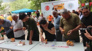 Mut Karacaoğlan ve Kayısı Festivali coşkulu başladı