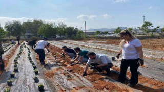 MYOda tıbbi ve aromatik bitki bahçesi kuruldu