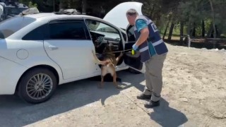 Narkotik köpeği zuladaki uyuşturucuyu buldu