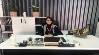 Niğdede ölü bulunan köpekler STKları harekete geçirdi