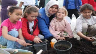 Öğrencilerle birlikte çilek fidesi dikti