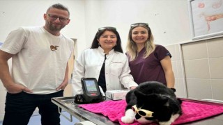 OMÜ Hayvan Hastanesinde düşük doz lazer tedavi hizmeti