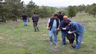Orman Benim kampanyası ile temizlik yaptılar