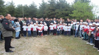 Ormanda çöp toplama etkinliği