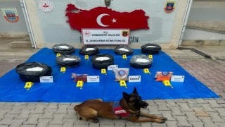 Osmaniyede ağaçların altına gizlenmiş uyuşturucu madde ele geçirildi