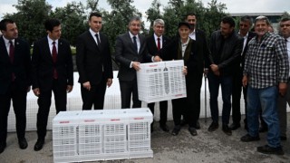 Osmaniye'de Zeytin Üreticilerine Plastik Kasa Dağıtımı Yapıldı