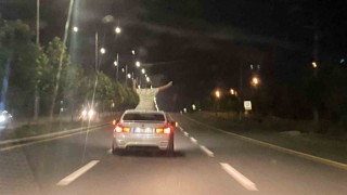 Otomobil tavanında tehlikeli yolculuk