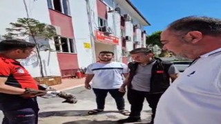 Otomobilden çıkarılan kedi itfaiye aracına girdi