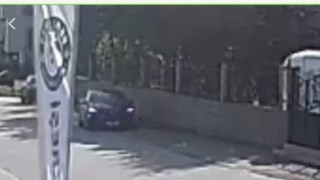 Otomobilin altında kalan köpek öldü