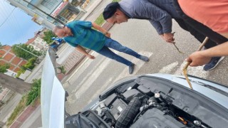 Otomobilin motor kısmına giden yavru kedi kurtarıldı