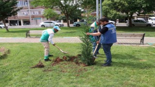 Peyzaj çalışması ile parklar güzelleştiriliyor