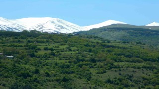 Posofta bahar görsel şölene dönüştü