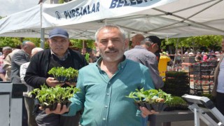 Pursaklarda 100 bin meyve fidesi dağıtıldı