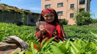 Rizeliler açıklanan çay taban fiyatını az buldu