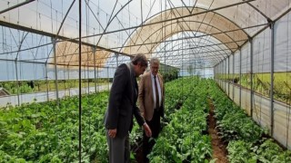 Sahaya inip üreticiler ile bir araya geldiler
