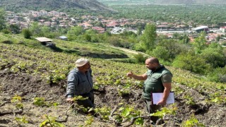 Sahayı adım adım dolaşıyorlar