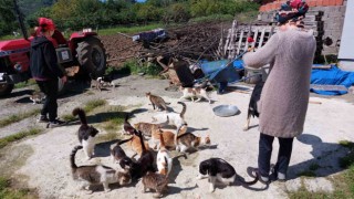 Sahiplendikleri 40 kedi ve 8 köpeğe el işi yaparak bakıyorlar