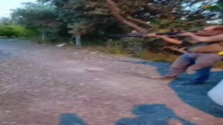 Sahipsiz köpeği tüfekle öldüren şahıs yakalandı, o anlar kamerada