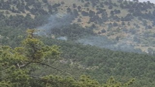 Saimbeylide çıkan orman yangını kontrol altIna alındı