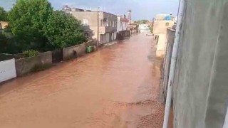 Şanlıurfada dolu ve yağmur kırsal mahalleleri göle çevirdi