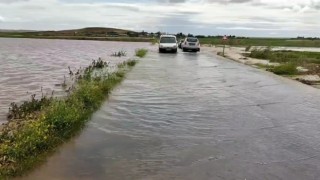 Şanlıurfada tarım arazileri sel suları altında kaldı