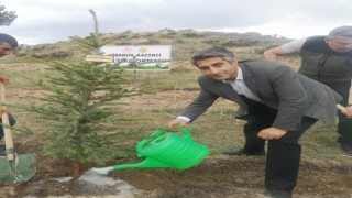 Sarıkamışta fidanlar toprakla buluştu