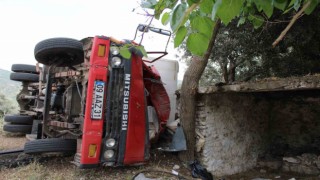 Seyyar pideciyi ölümden zeytin ağacı kurtardı