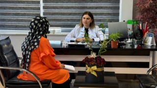 Sıcaklıkların artmasıyla böcek sokma vakaları arttı
