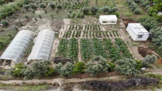 Yağmur tarım arazilerini sular altında bıraktı