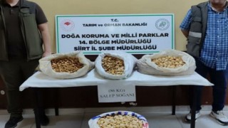 Siirtte salep soğanı toplayan şahıslara 387 bin 141 lira ceza kesildi