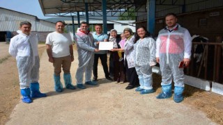 Simavda ilk hastalıktan ari işletmesi sertifikalandırıldı