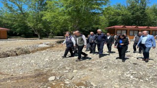Sinop Millet Ormanı Projesinin yüzde 60ı tamam