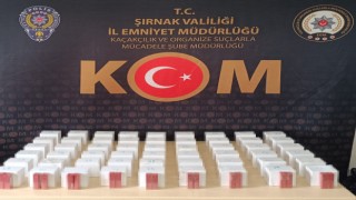 Şırnakta asayiş ve terör operasyonları: 4 tutuklama