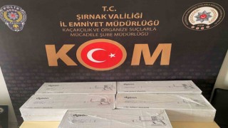 Şırnakta asayiş ve terör operasyonlarında 48 kişiye işlem yapıldı