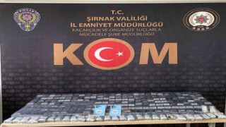 Şırnakta asayiş ve terör operasyonlarında 55 kişiye işlem yapıldı