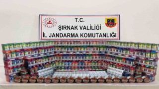 Şırnakta jandarma ekiplerinden kaçakçılara şok uygulama