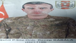 Şırnakta Pençe-Kaplan şehidi için tören düzenlendi