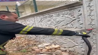 Site bahçesine giren yılan itfaiye ekiplerince yakalandı