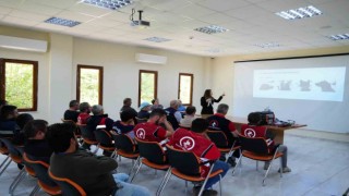 Sokak hayvanlarını yakalama ve toplama eğitimi