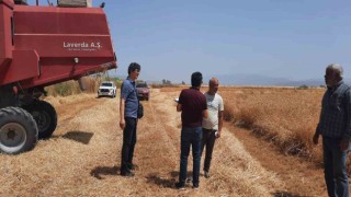 Sökede dane kaybının önlenmesi için kontroller devam ediyor