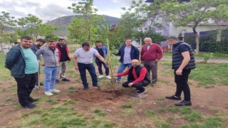 Somada yaşayan Ordulular hayatını kaybeden madenciler anısına fidan dikti