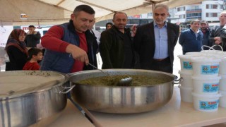 Sorgunda madımak şenliği