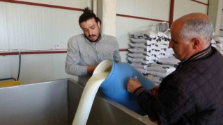 Süt Toplama Merkezleri yaygınlaşıyor
