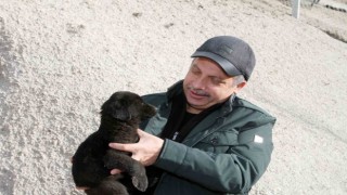 Talasta Türkiyeye örnek pati evi