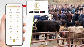 Tarım Cebimde ile 3 adımda kurbanlık sorgulama