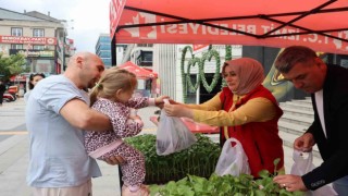 Tarımsal kalkınmaya fide desteği